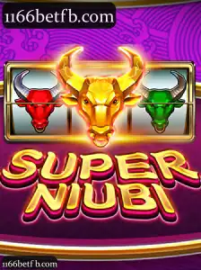SuperNiubi